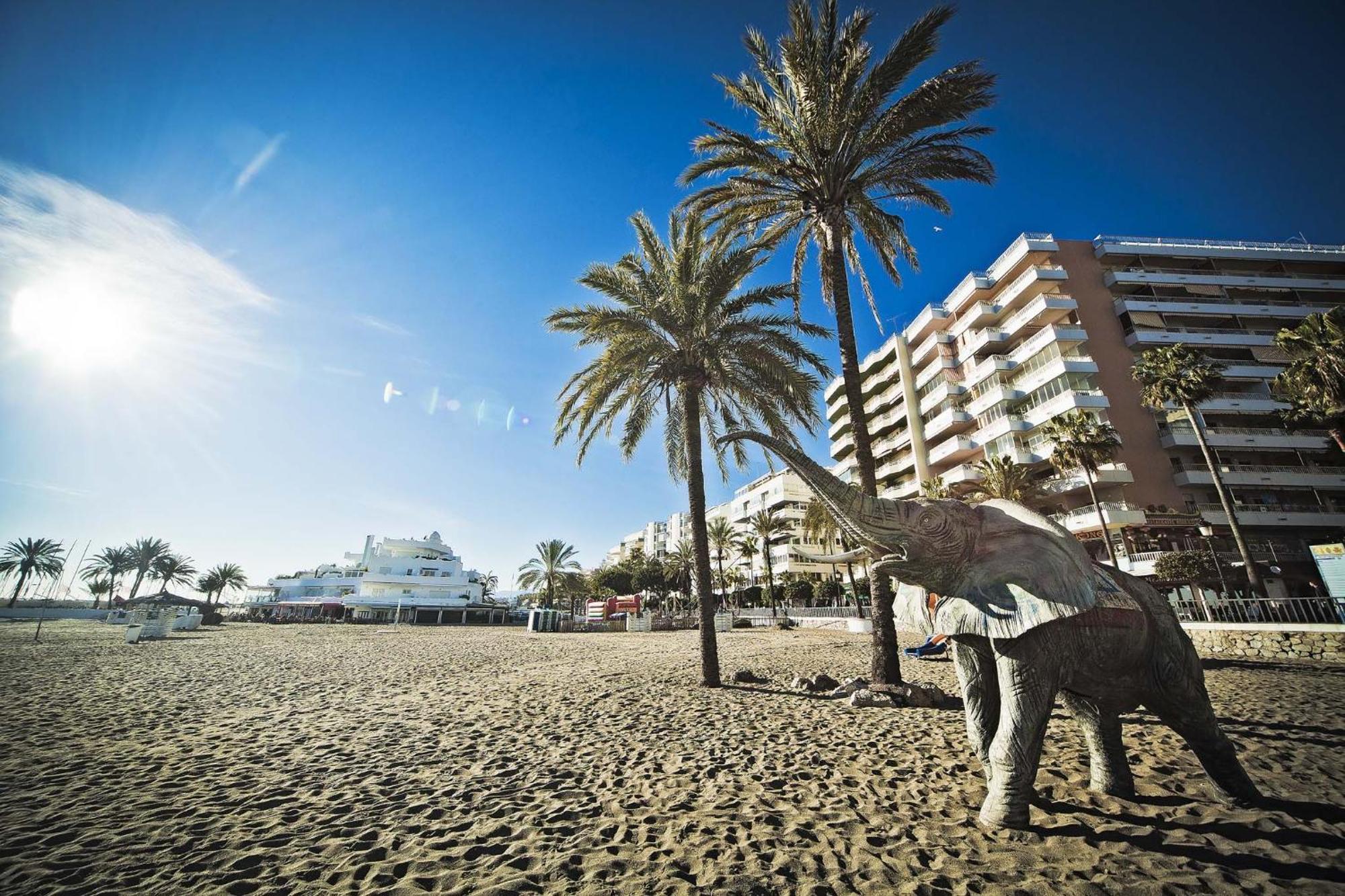 Aqua Bellamar, Apartamento